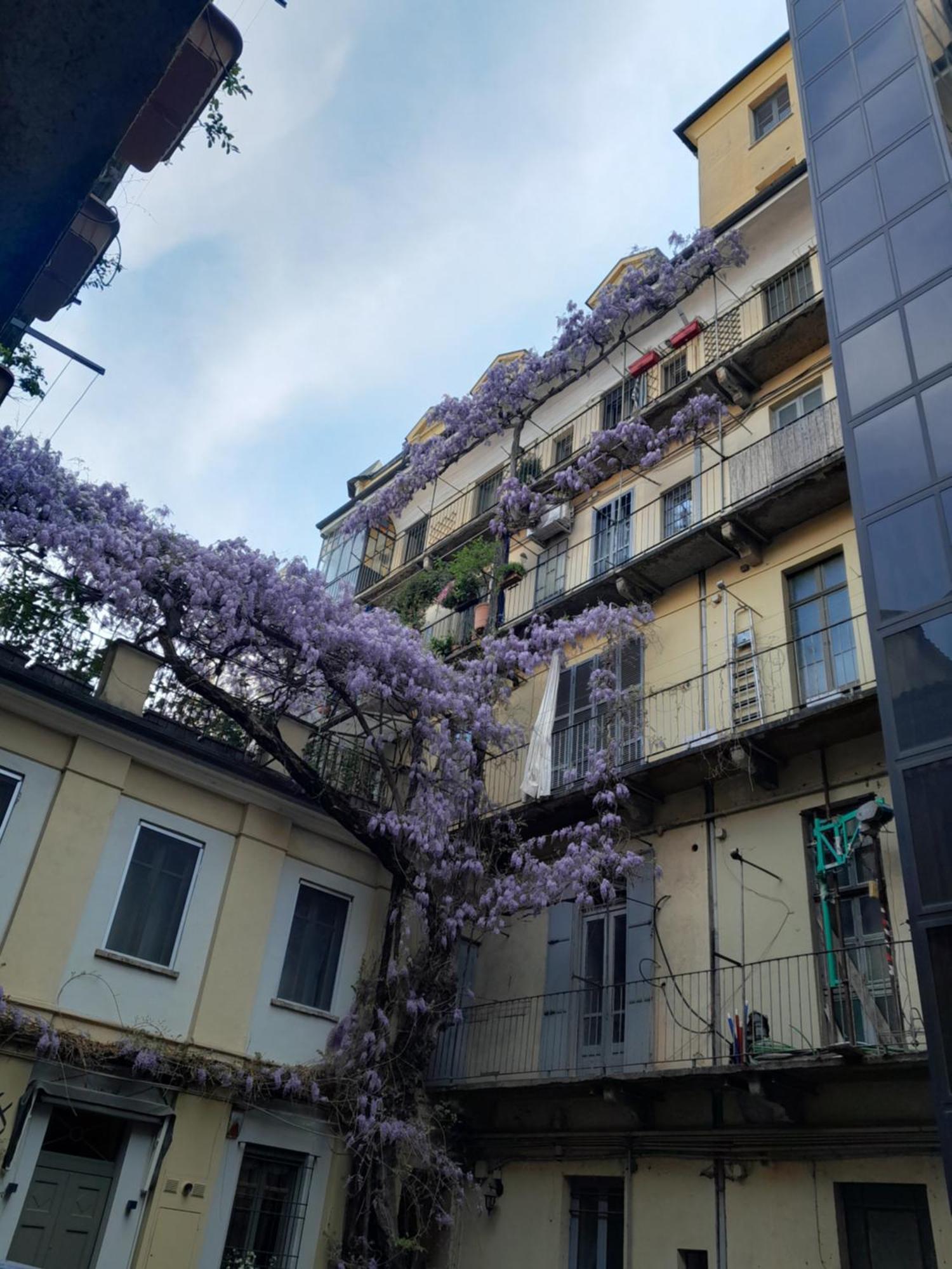 Alloggio Torino Inquadro Zewnętrze zdjęcie